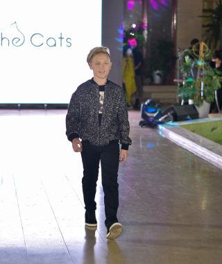 THE CATS (4)
