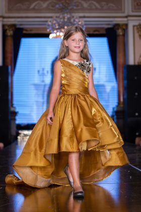 ELSA FAIRY DRESSES (10)